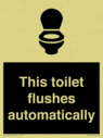 this-toilet-flushes-automatically~